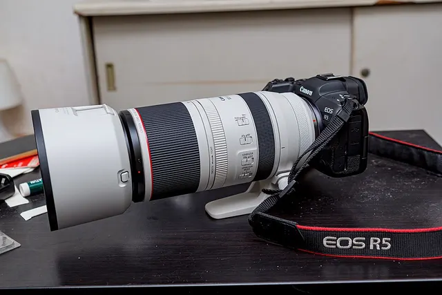 Canon RF 100-500mm F4.5-7.1L IS USM