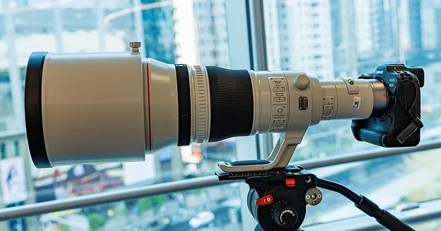 Canon RF 800mm F5.6L IS USM