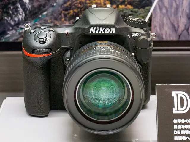Nikon D500