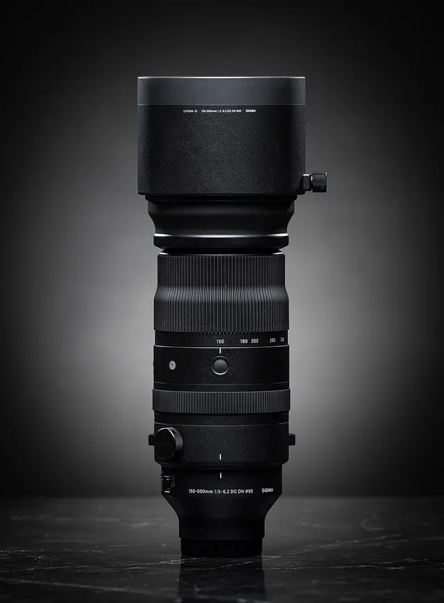 Sigma 150-600mm F5-6.3 DG DN OS | Sports