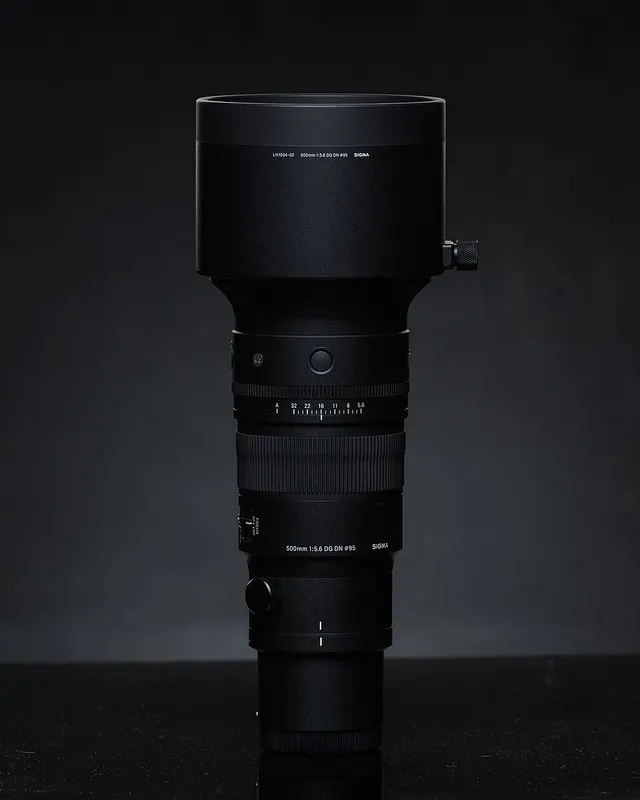 Sigma 500mm F5.6 DG DN OS | Sports