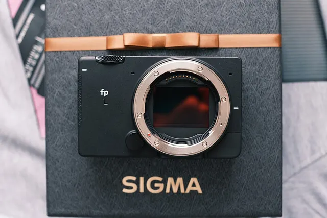 Sigma fp L