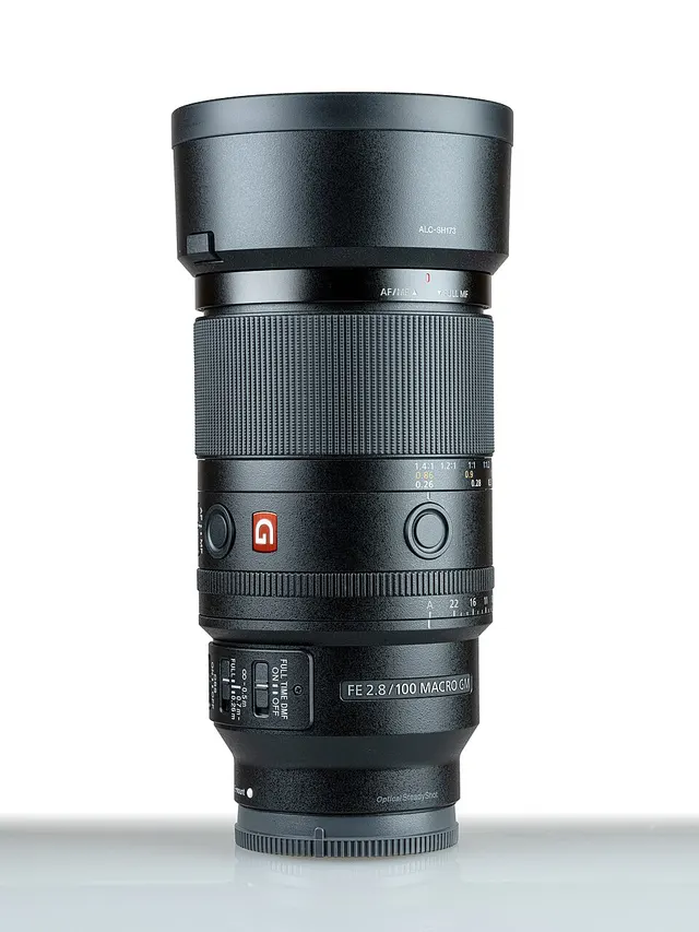 Sony FE 100mm F2.8 Macro GM OSS