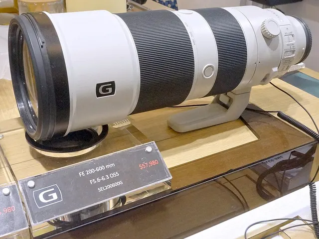 Sony FE 200-600mm F5.6-6.3 G OSS